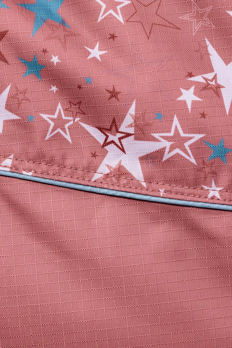 LeMieux Arika Star Turnout Rug 100g Spiced Earth-1