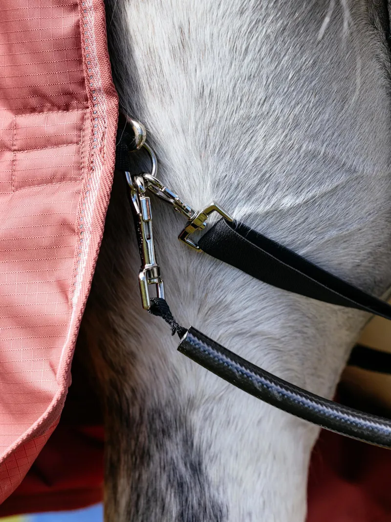 LeMieux Arika Star Turnout Rug 100g Spiced Earth-2