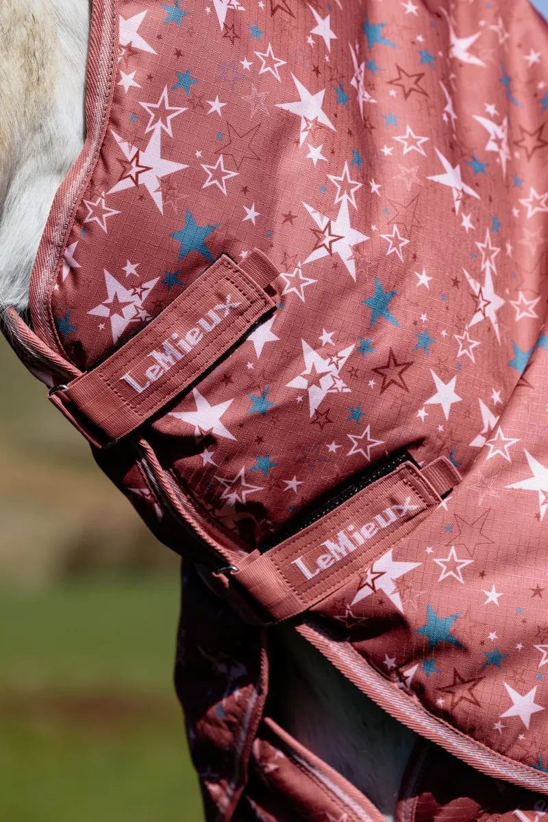 LeMieux Arika Star Turnout Rug 100g Spiced Earth-3
