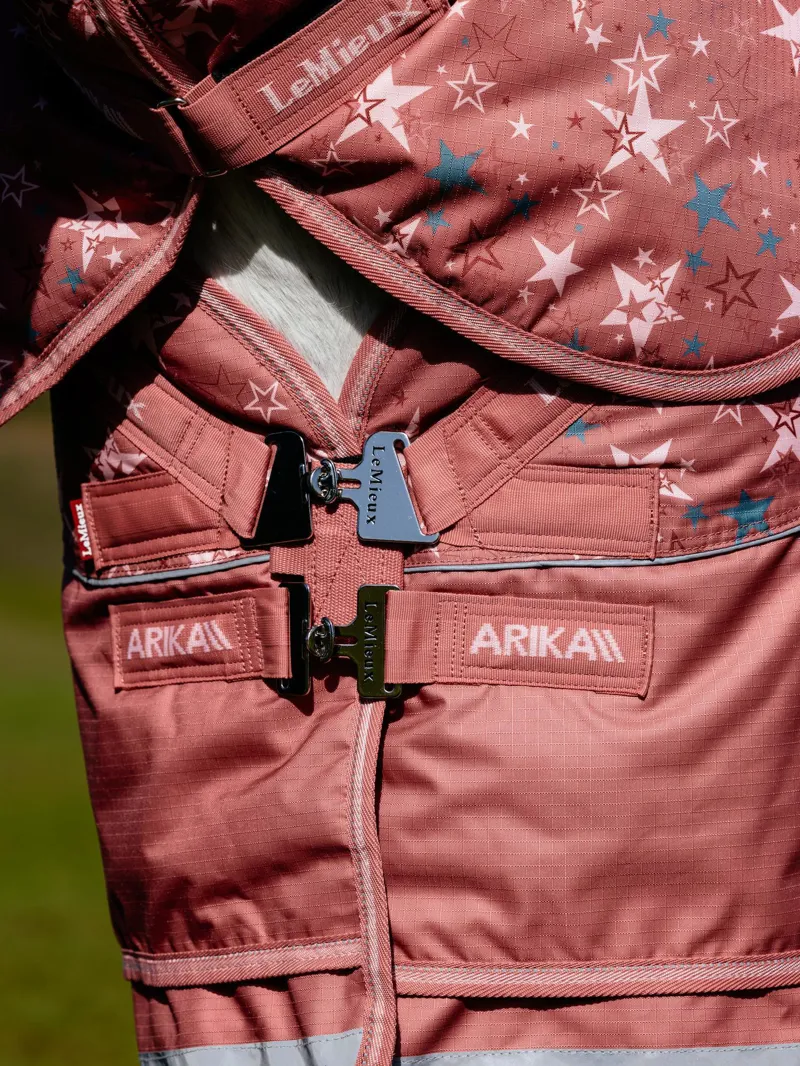 LeMieux Arika Star Turnout Rug 200g Spiced Earth-4