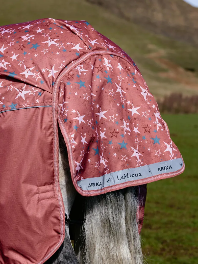 LeMieux Arika Star Turnout Rug 100g Spiced Earth-5