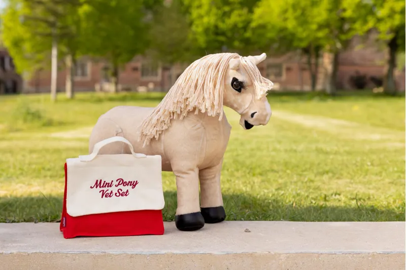 LeMieux Toy Pony Wooden Vet Set-2