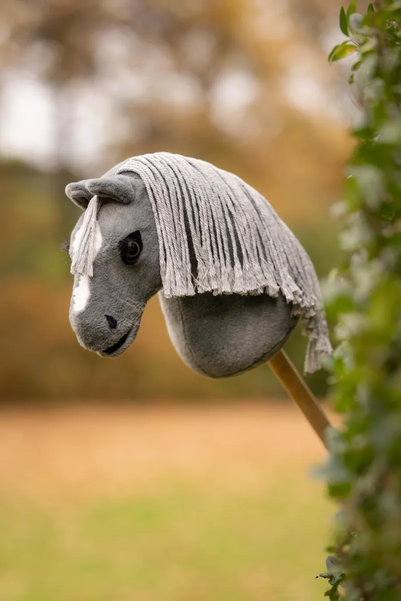 LeMieux Mini Hobby Horse Smokey-1