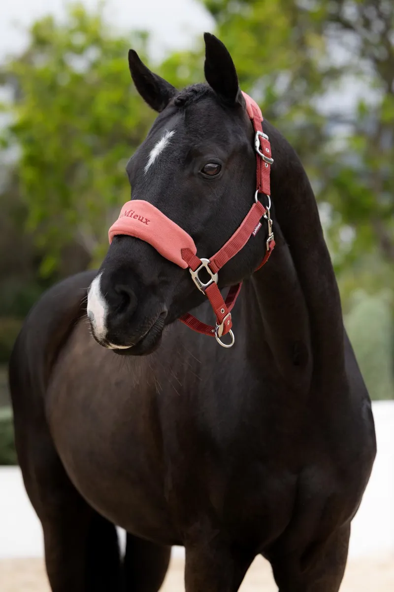  LeMieux Mini Vogue Headcollar and Leadrope in Russet-3