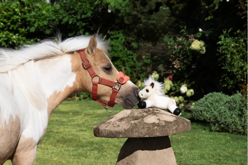 LeMieux Tiny Beanie Pony Lemon-5