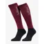 LeMieux Competition Socks 2-Pack in Blackberry