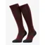  LeMieux Performance Socks in Bramble