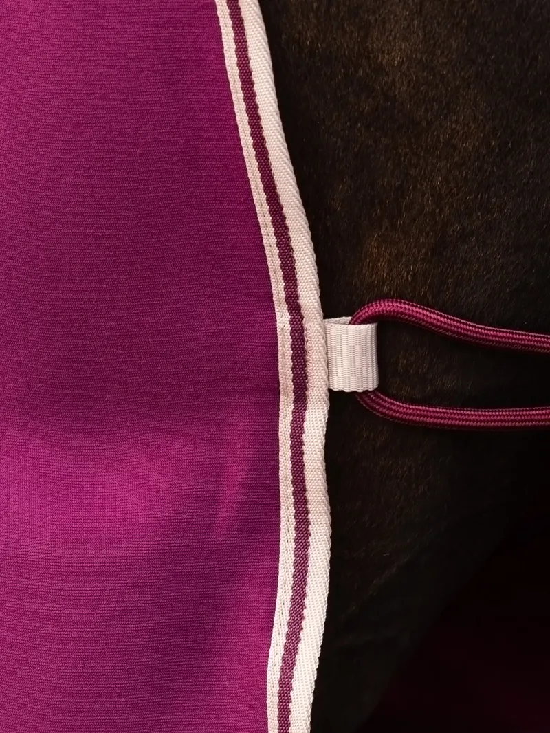 LeMieux Arika Jersey-Tek Blackberry-2