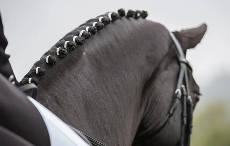 Lincoln Silver Diamante Plaiting Bands 20 Pack-1