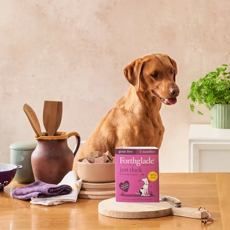 Forthglade Grain-Free Just Duck Dog Food 395g-4