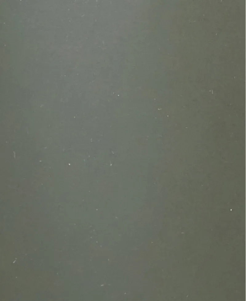 Barbour Bede Wellington Boot Womens In Olive Green-4