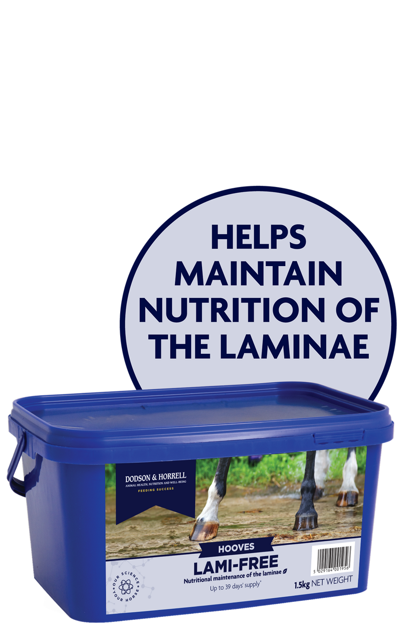 Dodson and Horrell Lami Free 1.5kg