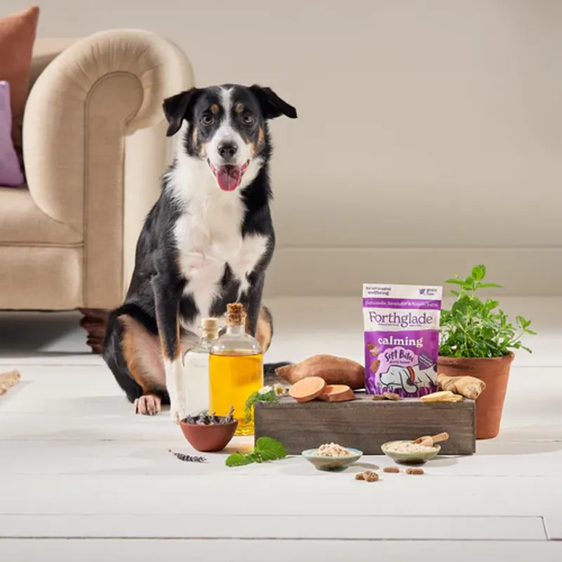 Forthglade Soft Bite Calming Dog Treats -4