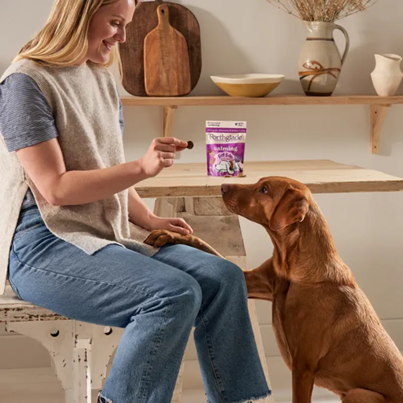 Forthglade Soft Bite Calming Dog Treats -2
