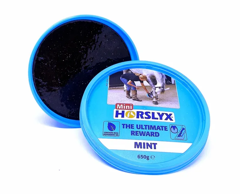 Horslyx Mini 650g Mint-1