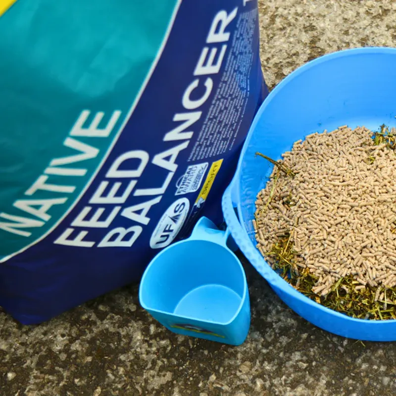 Blue Chip Native Feed Balancer-3