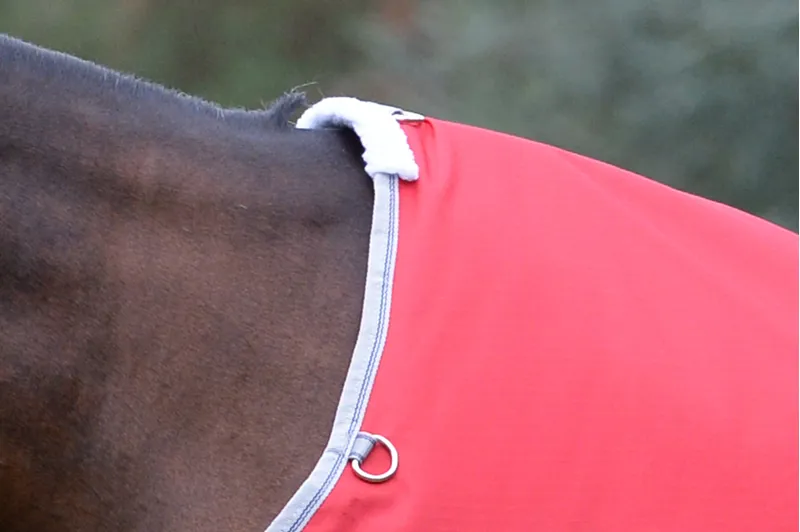 Weatherbeeta Comfitec Classic Standard Neck Lite Plus Red/Silver/Navy-1