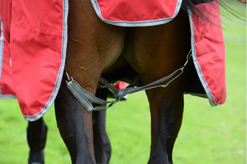 Weatherbeeta Comfitec Classic Standard Neck Lite Plus Red/Silver/Navy-4