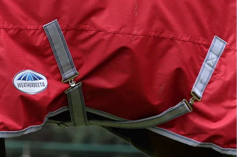 Weatherbeeta Comfitec Classic Standard Neck Lite Plus Red/Silver/Navy-2