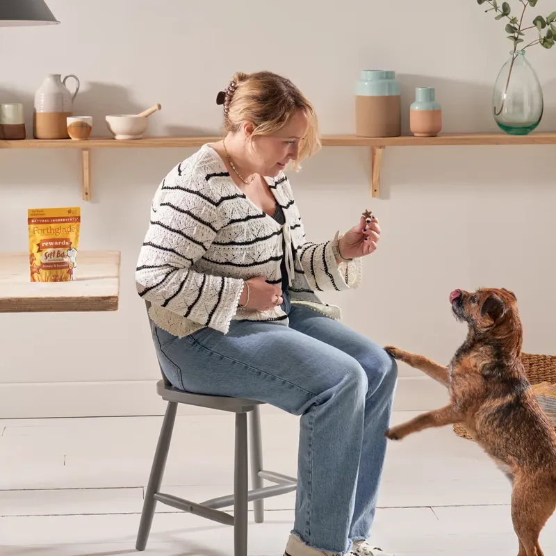 Forthglade Hypoallergenic Plant-Based Banana and Sweet Potato Soft Bite Training Treats-5