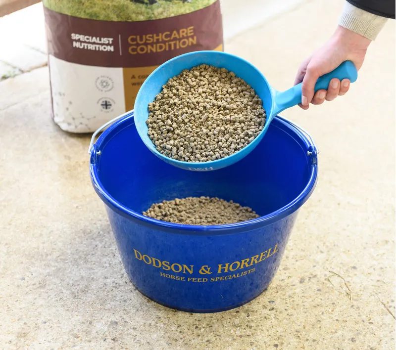  Dodson and Horrell Cushcare Condition-1