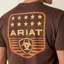 Ariat Mens Short Sleeve Stars and Stripes T-shirt in Brown Heather