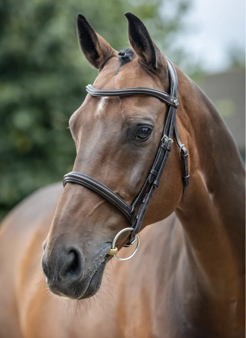 LeMieux Arika Cavesson Bridle Brown / Silver