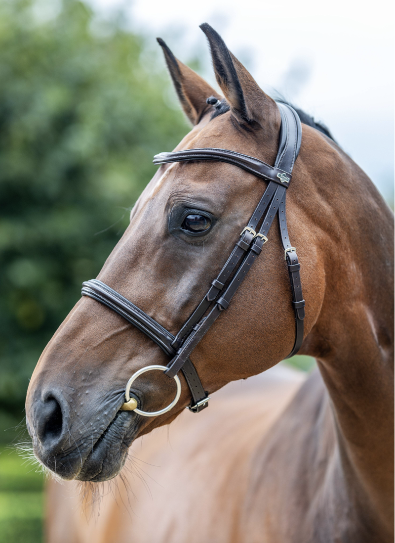LeMieux Arika Cavesson Bridle Brown / Silver-2