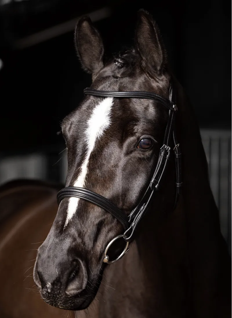LeMieux Arika Cavesson Bridle Black/Silver