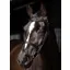 LeMieux Arika Cavesson Bridle Black/Silver