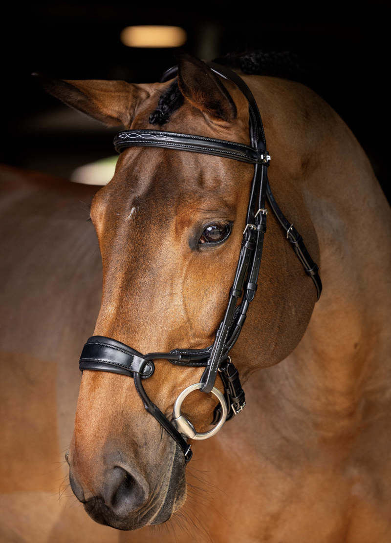 LeMieux Kudos Clear Arc Bridle Black/Silver-1