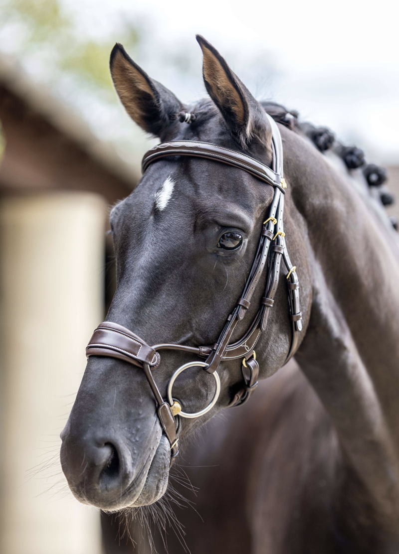 LeMieux Kudos Clear Arc Bridle Havana/Brass-2