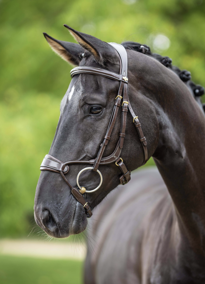 LeMieux Kudos Clear Arc Bridle Havana/Brass-1