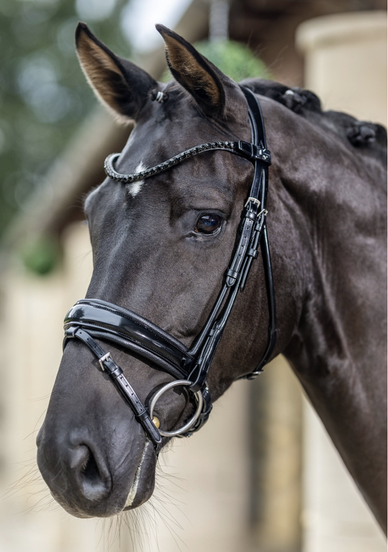 LeMieux Kudos Patent Dressage Bridle Black-1