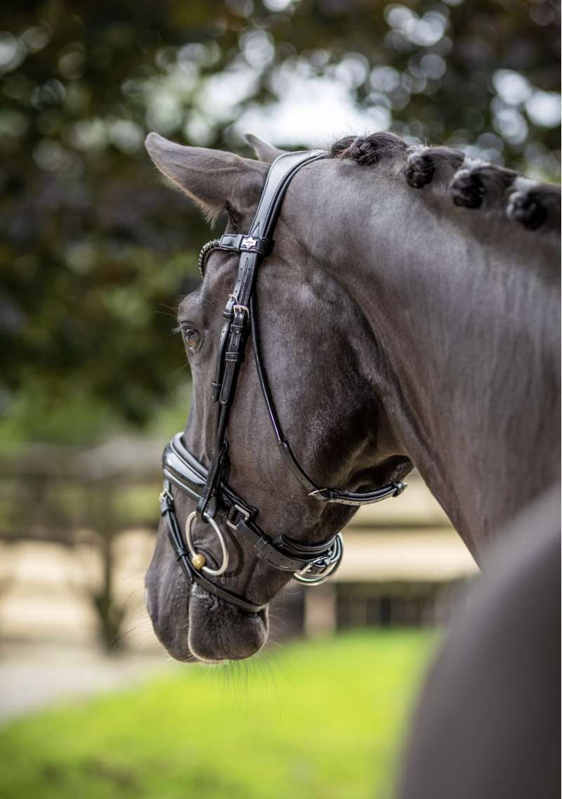 LeMieux Kudos Patent Dressage Bridle Black-2