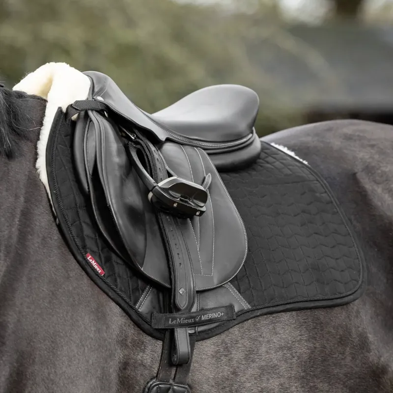 LeMieux Merino+ Half Lined Suede EuroJump Square Black/Natural