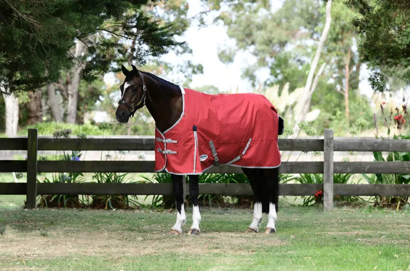 Weatherbeeta Comfitec Classic Standard Neck Lite Plus Red/Silver/Navy