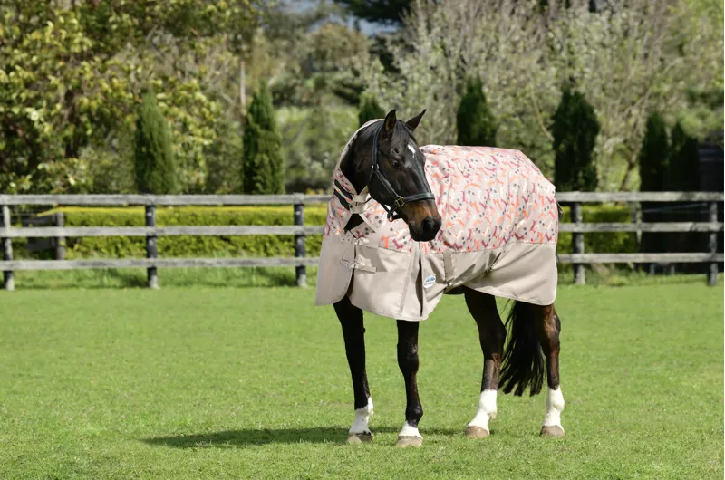 Weatherbeeta ComfiTec Essential Combo Neck Medium Dachshund Print