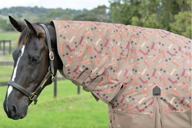 Weatherbeeta ComfiTec Essential Combo Neck Medium Dachshund Print-3