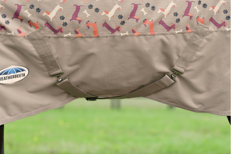 Weatherbeeta ComfiTec Essential Combo Neck Medium Dachshund Print-4