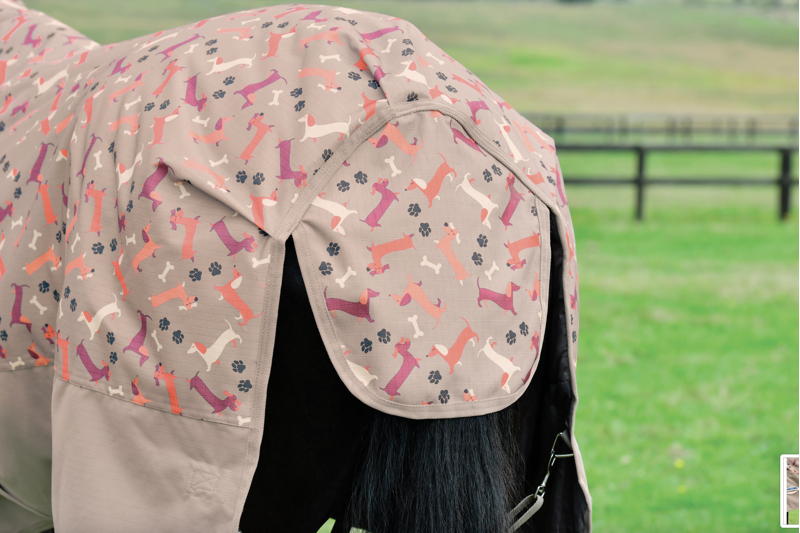 Weatherbeeta ComfiTec Essential Combo Neck Medium Dachshund Print-5