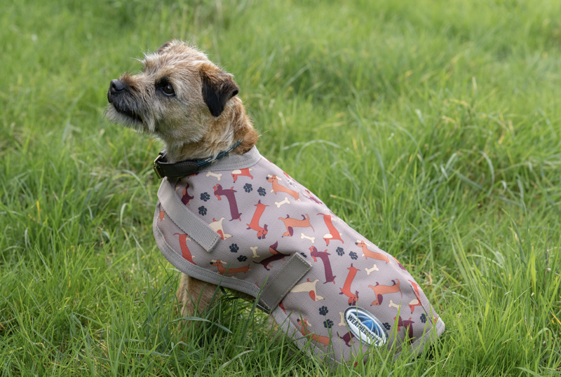 WeatherBeeta ComFiTec Essential Dog Coat Dachshund Print-1