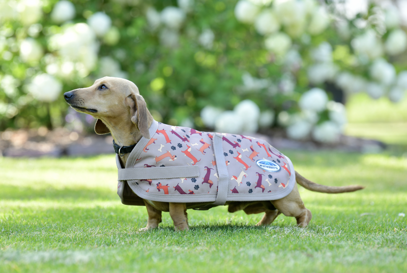 WeatherBeeta ComFiTec Essential Dog Coat Dachshund Print-2