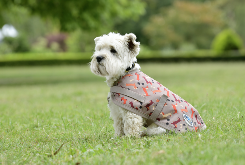 WeatherBeeta ComFiTec Essential Dog Coat Dachshund Print-3