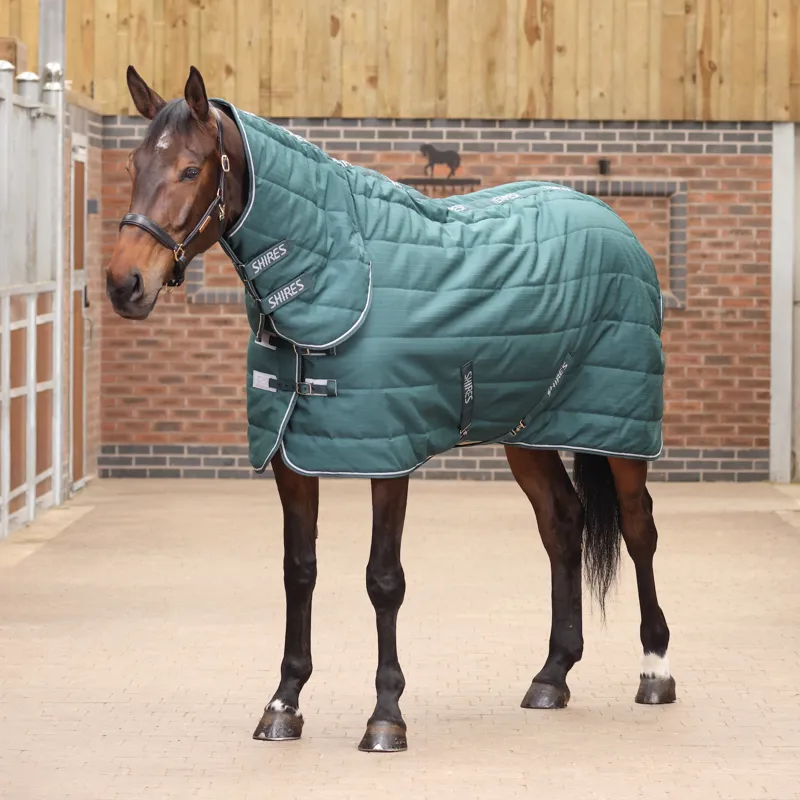 Tempest Original 200g Stable Rug and Neck Set Emerald