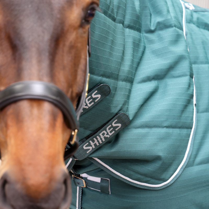 Tempest Original 200g Stable Rug and Neck Set Emerald-1