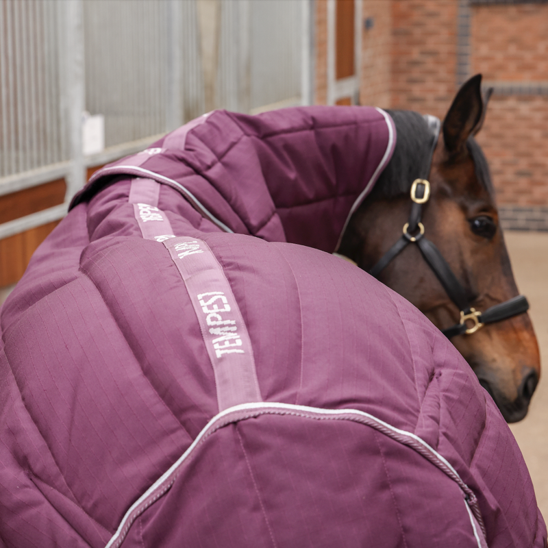 Tempest Original 300g Stable Rug and Neck Set Burgundy-3