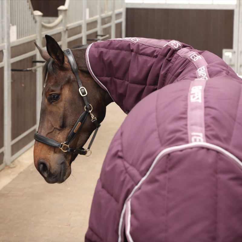 Tempest Original 300g Stable Rug and Neck Set Burgundy-4
