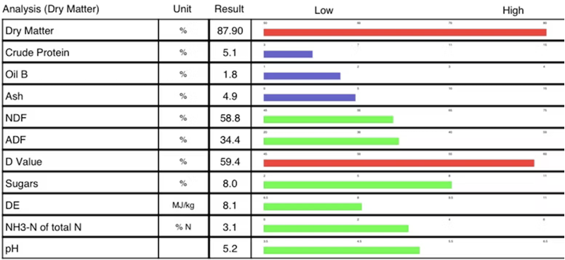 Country Hay Meadow Hay Blue-1