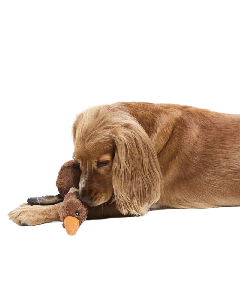 Barbour Flying Duck Dog Toy-4